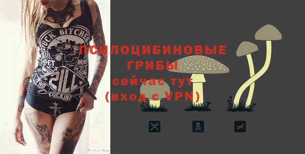 индика Балабаново