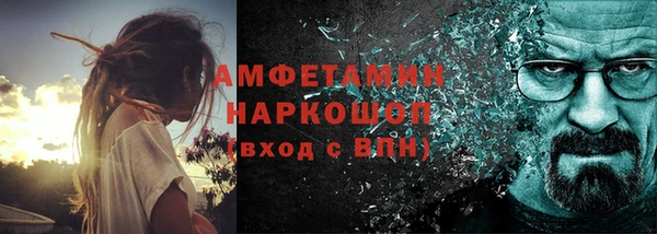 индика Балабаново
