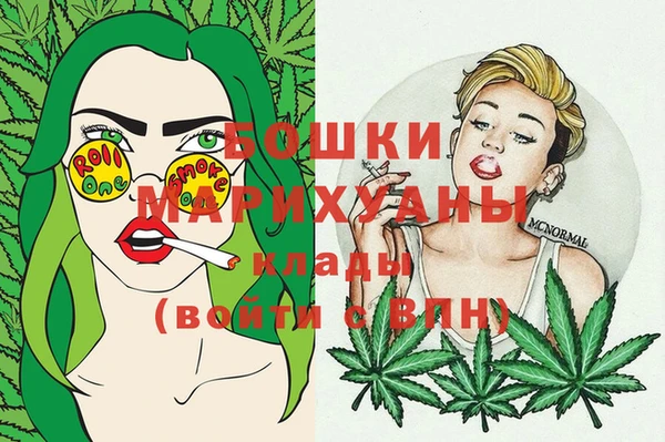 индика Балабаново
