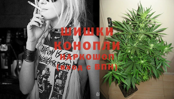 индика Балабаново