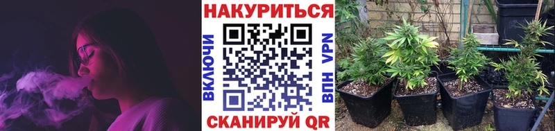 omg как зайти  Бронницы  маркетплейс как зайти  купить наркотик  Бошки марихуана марихуана 